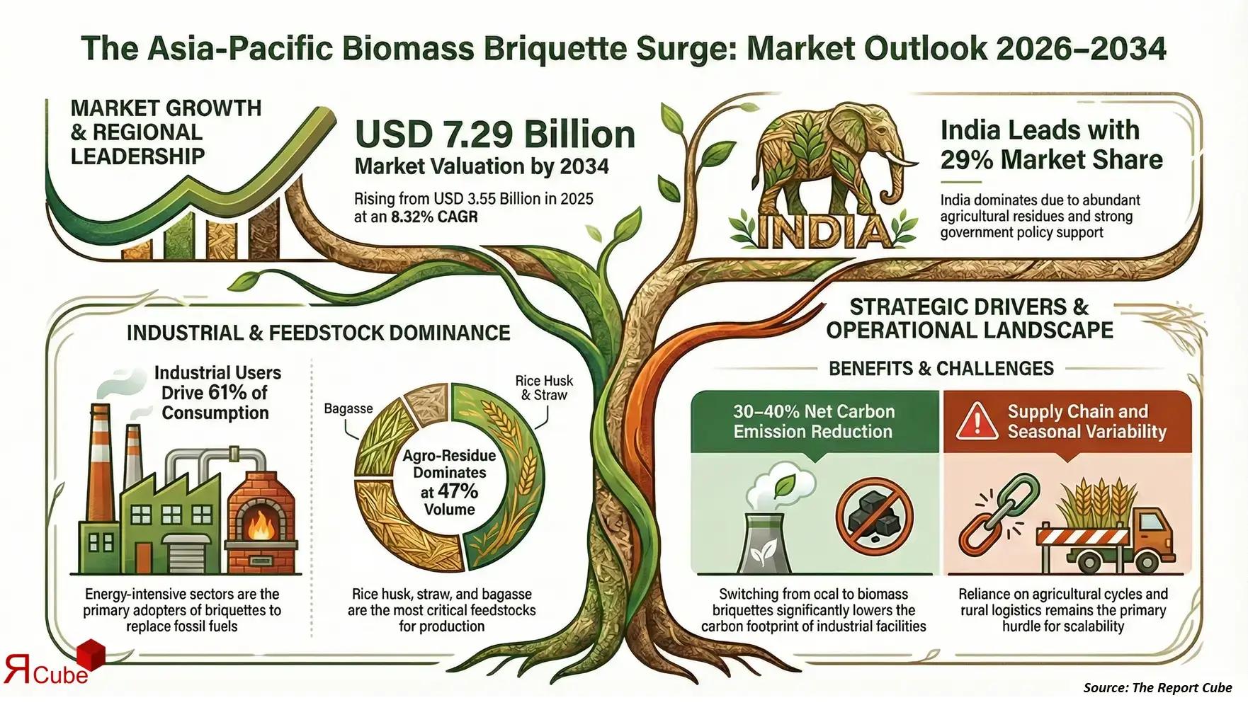 Asia-Pacific Biomass Briquette Market 2026-2034 infographic showing market segmentation and growth outlook